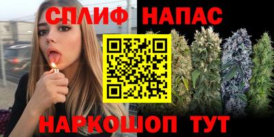 mdpv Новокубанск
