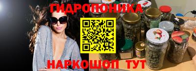 бошки Новодвинск