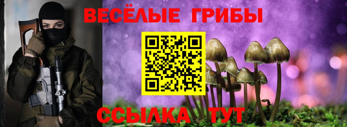 Галлюциногенные грибы Cubensis  Вход с VPN  Тайшет 